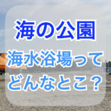 横浜唯一の海水浴場！海の公園ってどんなとこ？潮干狩りで有名？どんな生物がいるの？